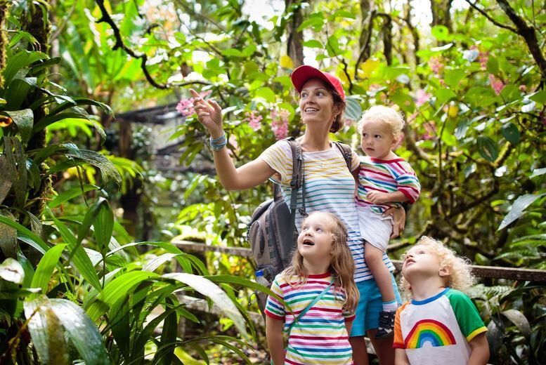 Hoo Farm Animal Encounters Junior Zookeeper Experience For Two At Hoo Zoo Dinosaur World   Wowcher