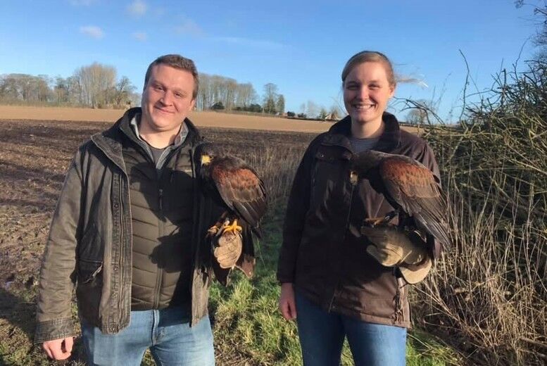 Shropshire Falconry 60 Minute Hawk Walk Experience For 2 - Shropshire   Wowcher