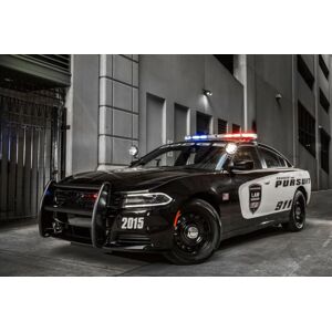 U Drive Cars Driving Experience: Us Police Car - 3-Mile - 25 Locations   Wowcher