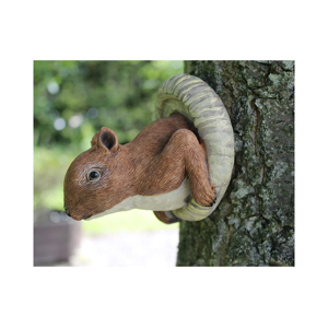 SHS Trading Ltd Novelty Red Squirrel Tree Peeker   Wowcher