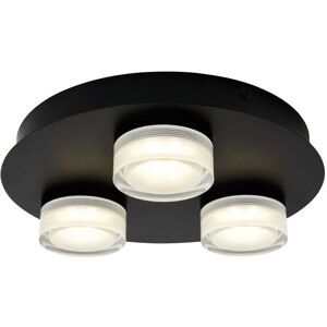 Forum Lighting Amalfi LED 3 Light Spotlight Plate - Matt Black - Forum Lighting Amalfi LED 3 Light Spotlight Plate - Matt Black -