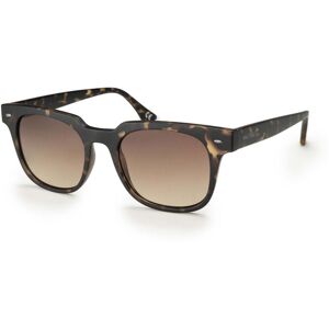 Bloc Eyewear Cari FF152 / Tort Brown / ONE  - Size: ONE