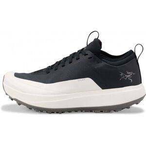 Arcteryx Mens Sylan GTX / Black/Arctic Silk / 8  - Size: 8