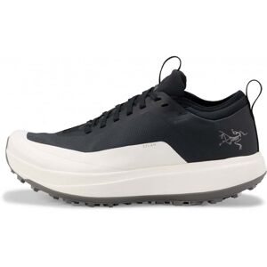 Arcteryx Mens Sylan GTX / Black/Arctic Silk / 11  - Size: 11