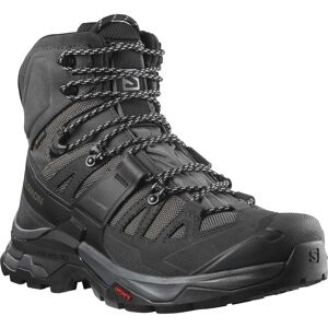 Salomon Quest 4 GTX / Magnet/Black/Quarry / 9  - Size: 9