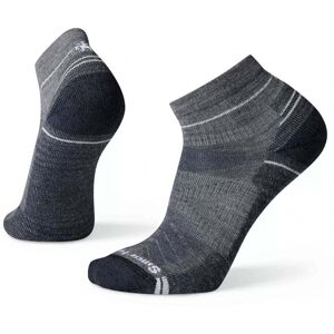 Smartwool Performance Hike Light Cushion Ankle / Medium Gray / XL  - Size: Extra Large