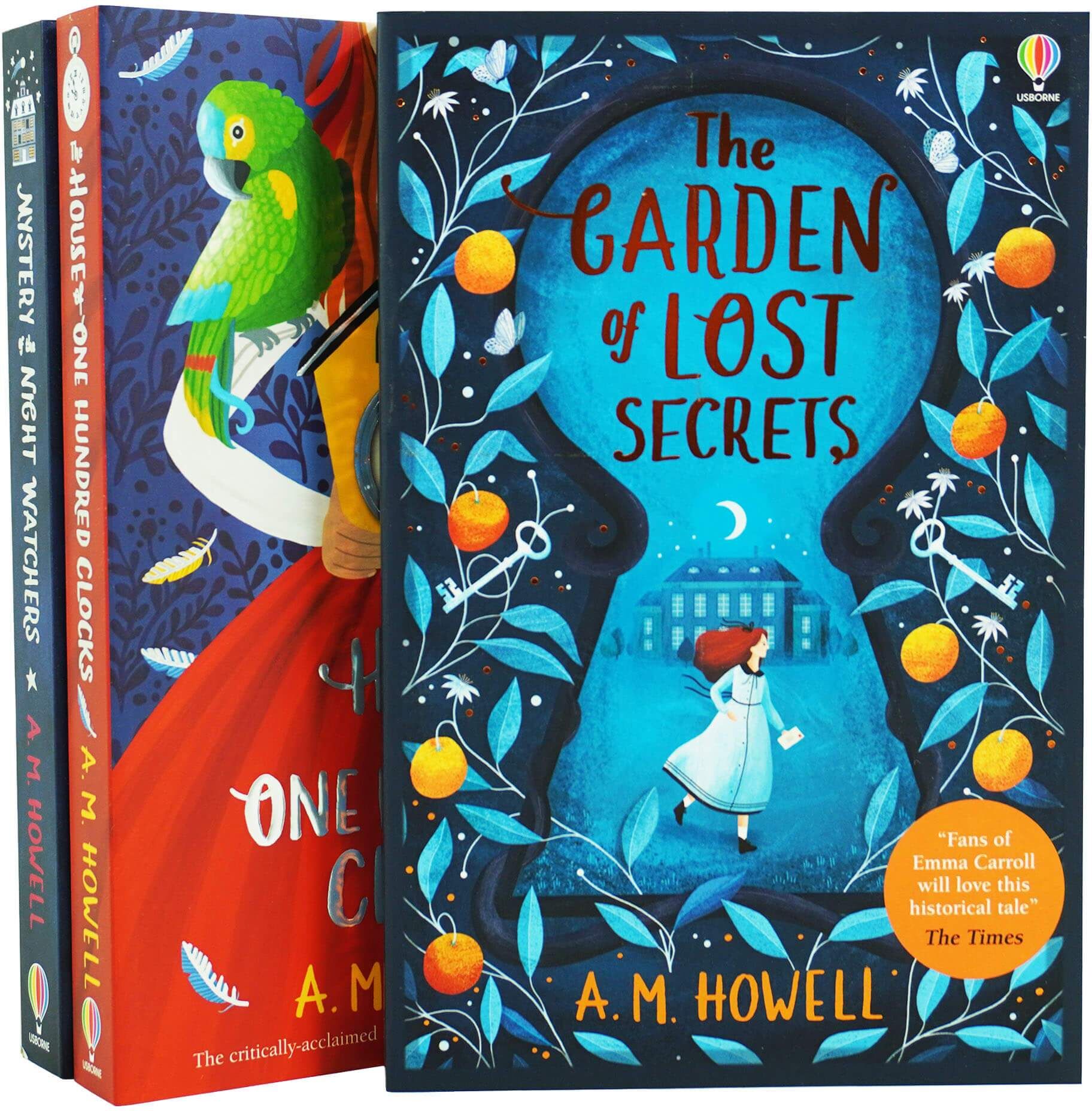 A M Howell 3 Books Collection Set (The House, The Garden, Mystery) - Ages 9-14 - Paperback Usborne Publishing Ltd