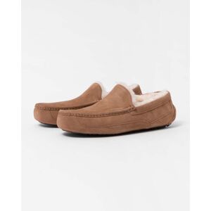 UGG Ascot Mens Slipper  - Chestnut - UK7 EU40.5 US8 - male