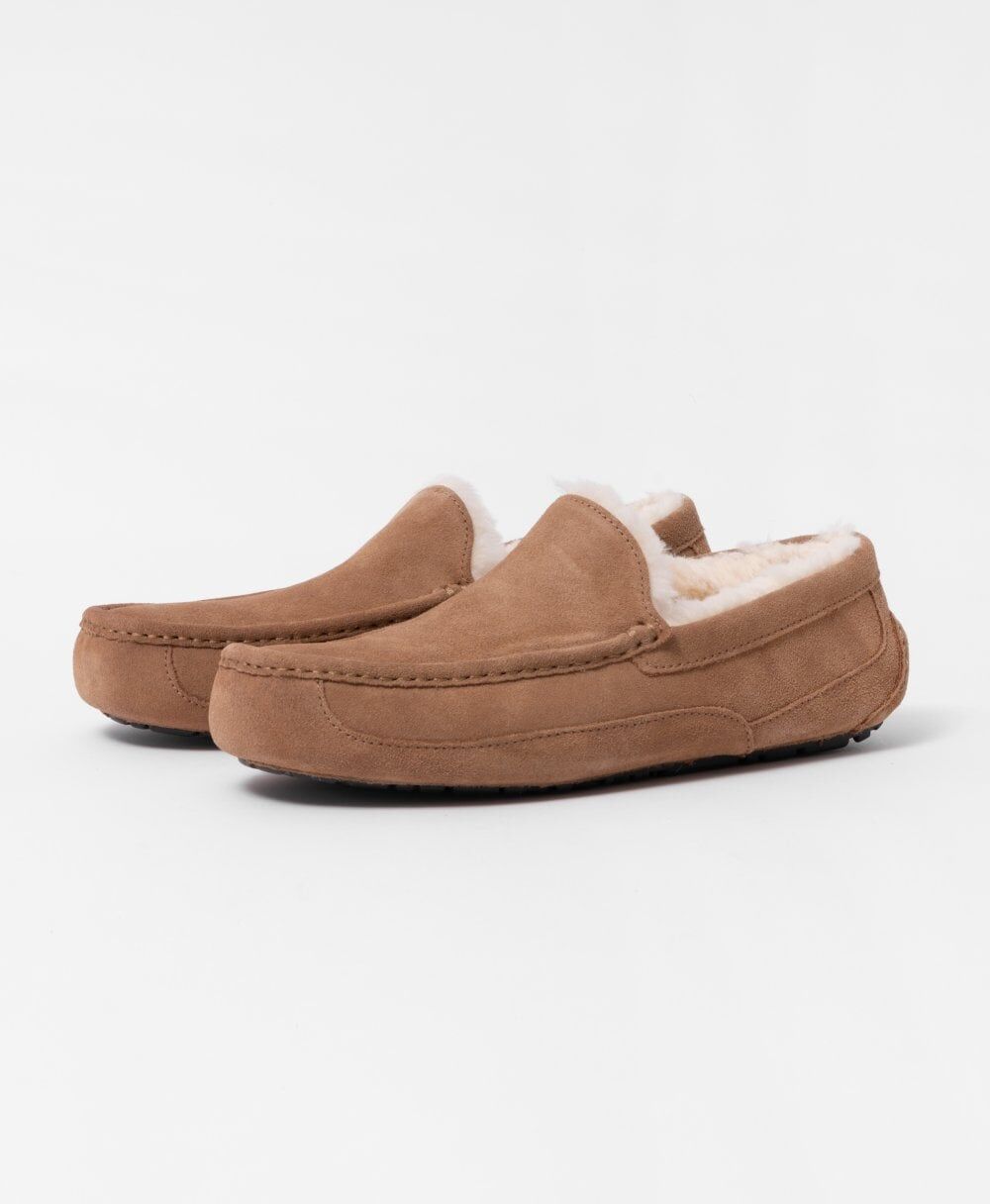 UGG Ascot Mens Slipper  - Chestnut - UK8 EU42 US9 - male