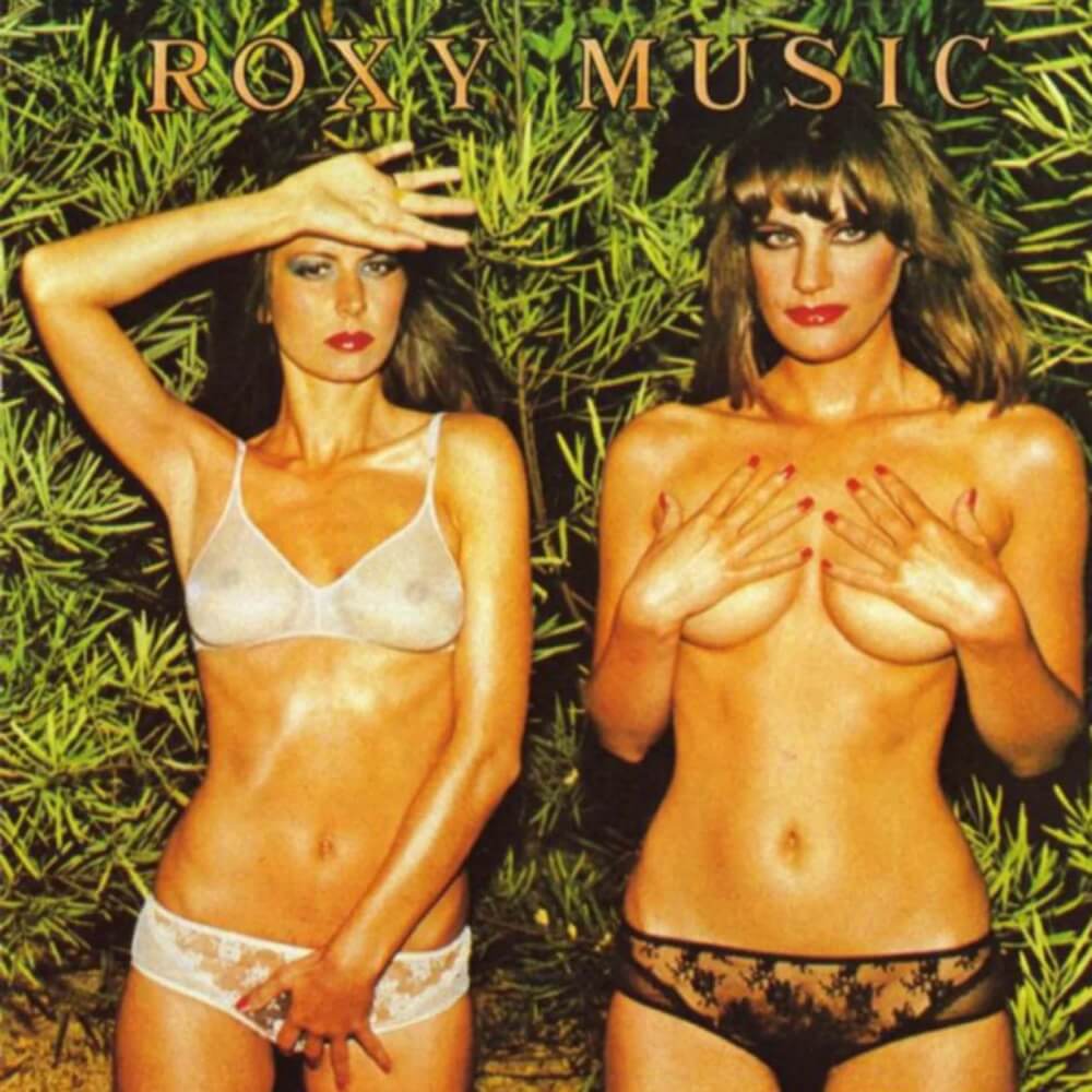 Vinyl Record Brands Roxy Music - Country Life Vinyl Album