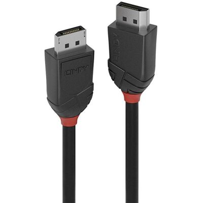 Lindy 36517 DisplayPort Cable 2m Black - DisplayPort Cable Lindy 36517 DisplayPort Cable 2m Black - DisplayPort Cable