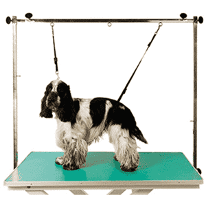 Show Tech Pro Table Noose Set - Mini Show Tech Pro Table Noose Set - Mini