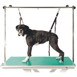 Show Tech Pro Table Noose Set Show Tech Pro Table Noose Set