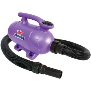 XPower B-2 Midi Single Dryer Purple Colour: Purple XPower B-2 Midi Single Dryer Purple Colour: Purple