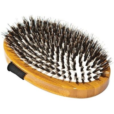 Bass Porcupine Pad Brush Bass Porcupine Pad Brush