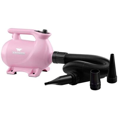 XPower B-123 High Velocity Dryer with Heat - Pastel Pink Colour: Paste XPower B-123 High Velocity Dryer with Heat - Pastel Pink Colour: Paste