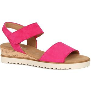 Gabor Raynor Womens Sandals Colour: Pink Suede, Size: 7 7 - female Gabor Raynor Womens Sandals Colour: Pink Suede, Size: 7 7 - female