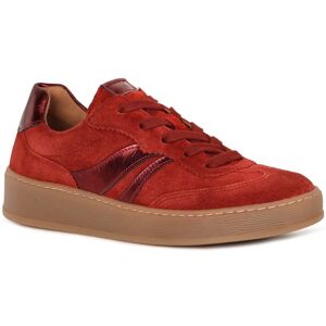 Gabor Dahma Womens Trainers Colour: Damasco Suede, Size: 2.5 2.5 - female Gabor Dahma Womens Trainers Colour: Damasco Suede, Size: 2.5 2.5 - female