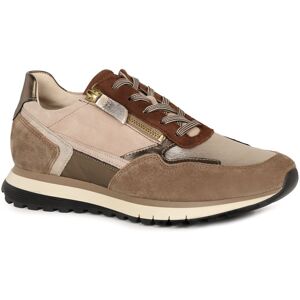 Gabor Hollywell Womens Trainers Colour: Puder Lea Combi, Size: 6 6 - female Gabor Hollywell Womens Trainers Colour: Puder Lea Combi, Size: 6 6 - female