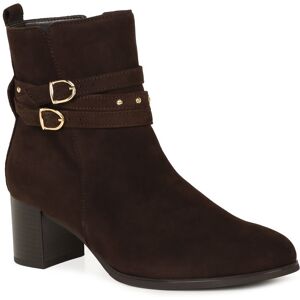 Gabor Belsay Womens Ankle Boots Colour: Chocolate Suede, Size: 7.5 7.5 - female Gabor Belsay Womens Ankle Boots Colour: Chocolate Suede, Size: 7.5 7.5 - female