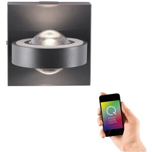 Paul Neuhaus Dark Gray Smart Wall Lamp with Remote - Q-MIA 9185-13 Paul Neuhaus Dark Gray Smart Wall Lamp with Remote - Q-MIA 9185-13