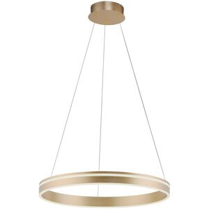 Paul Neuhaus Brass Smart Hanging Lamp - 59cm, Remote Control Paul Neuhaus Brass Smart Hanging Lamp - 59cm, Remote Control