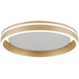 Paul Neuhaus Brass Smart Ceiling Lamp 40cm - LED, ZigBee, Dimmable Paul Neuhaus Brass Smart Ceiling Lamp 40cm - LED, ZigBee, Dimmable