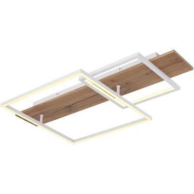 Globo Ceiling Light - White - Metal - 67289D1W - Modern Style Globo Ceiling Light - White - Metal - 67289D1W - Modern Style