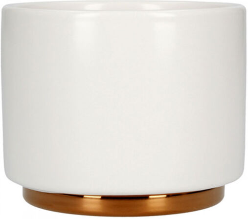 Fellow Coffee cup Fellow Monty "Cappucino Matte White" 190 ml Fellow Coffee cup Fellow Monty "Cappucino Matte White" 190 ml