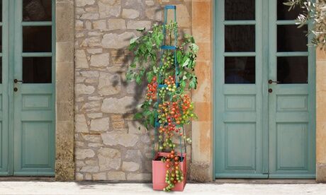 Groupon Goods Global GmbH Garden Grow Self-Watering 4 Tier Tomato Tower Groupon Goods Global GmbH Garden Grow Self-Watering 4 Tier Tomato Tower