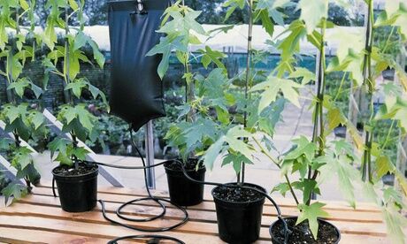 Groupon Goods Global GmbH One or Two Green Blade Instant Drip Watering Systems Groupon Goods Global GmbH One or Two Green Blade Instant Drip Watering Systems