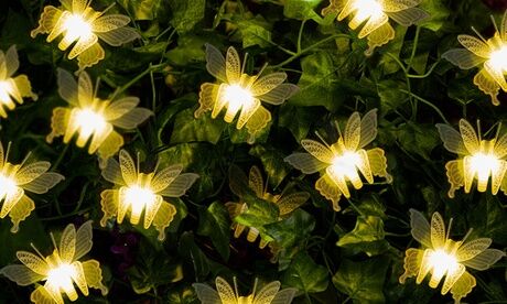 Groupon Goods Global GmbH One, Two or Three 10-LED Warm White Butterfly Solar Light Strings Groupon Goods Global GmbH One, Two or Three 10-LED Warm White Butterfly Solar Light Strings