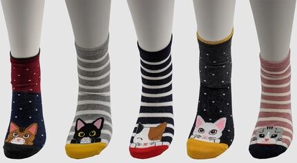 Groupon Goods Global GmbH Five Pairs of Kitten Cotton Socks