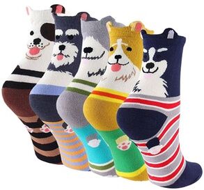 Groupon Goods Global GmbH Five- or Ten-Pack of Women's Dog Socks