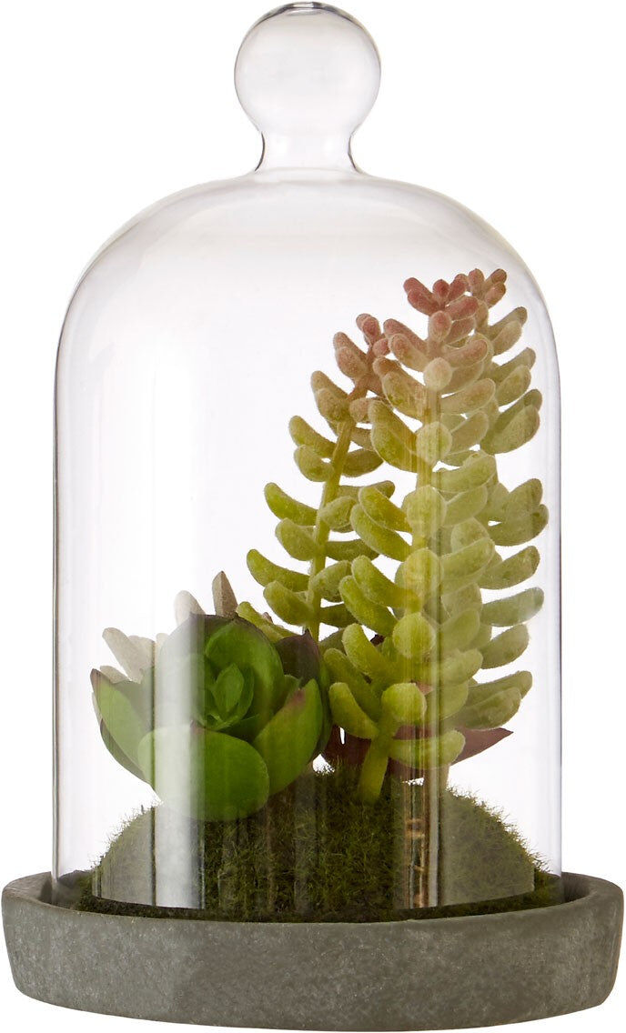 HoF Living Faux Succulent Plant In Glass Dome HoF Living Faux Succulent Plant In Glass Dome
