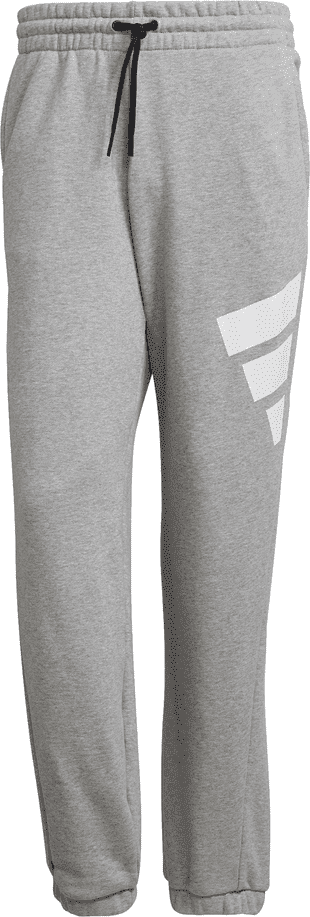 adidas Mens Sportswear Future Icons Logo Graphic Pant Size: Medium, Colour: Short