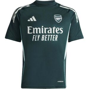 adidas Arsenal Competition Training Short Sleeve Junior Jersey 2025/2026 Size: 7-8 years, Colour: Charcoal adidas Arsenal Competition Training Short Sleeve Junior Jersey 2025/2026 Size: 7-8 years, Colour: Charcoal