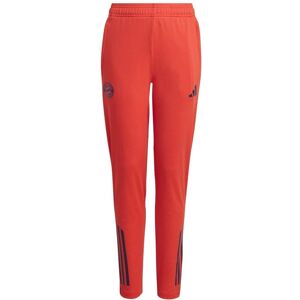 adidas Bayern Munich Tiro Competition Junior Training Pant 2025/2026 Colour: Red, Size: 11-12 years adidas Bayern Munich Tiro Competition Junior Training Pant 2025/2026 Colour: Red, Size: 11-12 years
