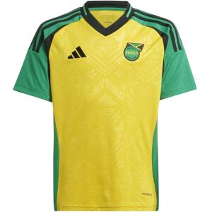 adidas Jamaica Home Junior Short Sleeve Jersey 2024 Colour: Yellow, Size: 11-12 years adidas Jamaica Home Junior Short Sleeve Jersey 2024 Colour: Yellow, Size: 11-12 years