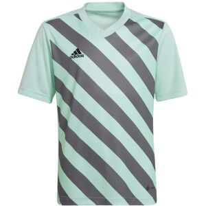 adidas Junior Entrada 22 Graphic Jersey Colour: Mint, Size: 13-14 years adidas Junior Entrada 22 Graphic Jersey Colour: Mint, Size: 13-14 years