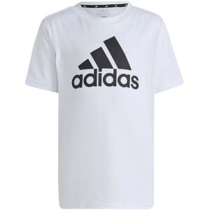 adidas Kids Essentials Logo T-Shirt Colour: White, Size: 7-8 years adidas Kids Essentials Logo T-Shirt Colour: White, Size: 7-8 years