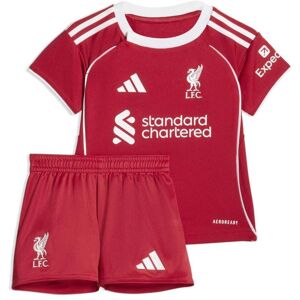 adidas Liverpool Home Baby Kit 2025/2026 Colour: Red, Size: 9-12M adidas Liverpool Home Baby Kit 2025/2026 Colour: Red, Size: 9-12M