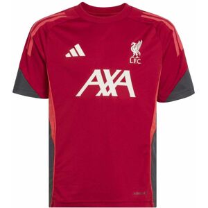 adidas Liverpool Tiro Competition Junior Short Sleeve Training Jersey 2025/2026 Colour: Red, Size: 11-12 years adidas Liverpool Tiro Competition Junior Short Sleeve Training Jersey 2025/2026 Colour: Red, Size: 11-12 years