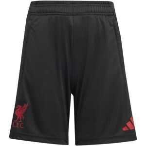 adidas Liverpool FC Tiro 25 Competition Training Shorts - Black adidas Liverpool FC Tiro 25 Competition Training Shorts - Black