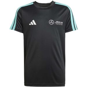adidas Mercedes AMG Petronas Formula One Team DNA Boys T-Shirt Colour: Black, Size: 11-12 years adidas Mercedes AMG Petronas Formula One Team DNA Boys T-Shirt Colour: Black, Size: 11-12 years