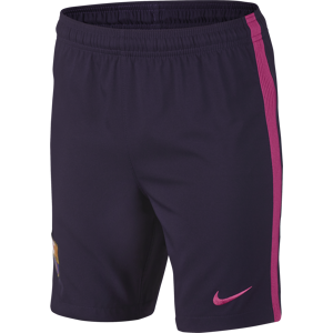 Nike Barcelona Away Junior Short 2016/2017 Size: Youth Extra Large, Colour: Purple Nike Barcelona Away Junior Short 2016/2017 Size: Youth Extra Large, Colour: Purple