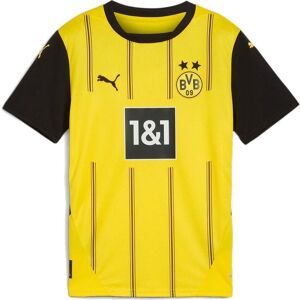 Puma Borussia Dortmund Home Junior Short Sleeve Jersey 2024/2025 Size: 11-12 years, Colour: Yellow Puma Borussia Dortmund Home Junior Short Sleeve Jersey 2024/2025 Size: 11-12 years, Colour: Yellow