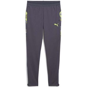 Puma Junior IndividualCUP Football Pant Size: 11-12 years, Colour: Grey Puma Junior IndividualCUP Football Pant Size: 11-12 years, Colour: Grey