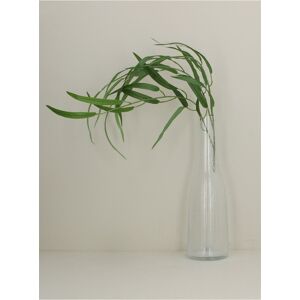 Bodysocks Gisela Graham 4 x Clear Etch Effect Glass Bottle Vase Bodysocks Gisela Graham 4 x Clear Etch Effect Glass Bottle Vase