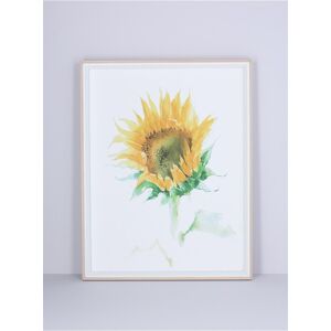 Bodysocks Gisela Graham 4 x Sunflower Nat. Framed Print, Large Bodysocks Gisela Graham 4 x Sunflower Nat. Framed Print, Large
